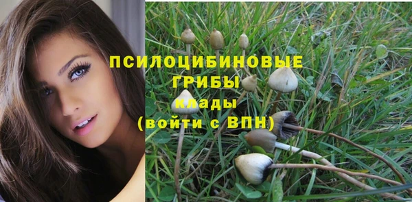 бутират Аркадак