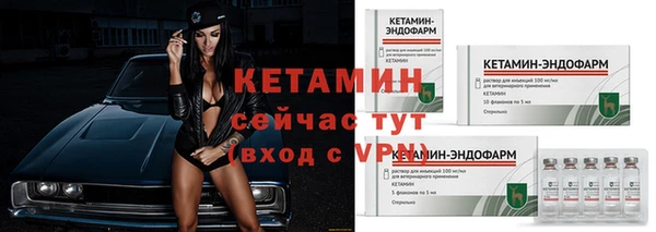 jwh Пересвет