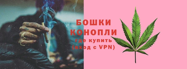 ГАЛЛЮЦИНОГЕННЫЕ ГРИБЫ Арсеньев