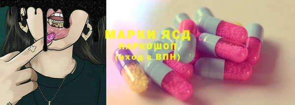 шишки Баксан