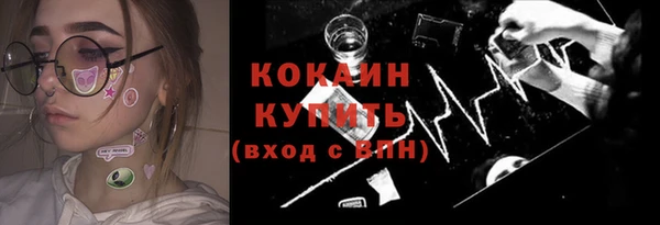 ГАЛЛЮЦИНОГЕННЫЕ ГРИБЫ Арсеньев