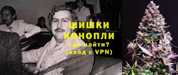 ГАЛЛЮЦИНОГЕННЫЕ ГРИБЫ Арсеньев