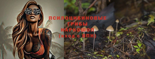 ГАЛЛЮЦИНОГЕННЫЕ ГРИБЫ Арсеньев
