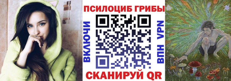 мориарти какой сайт  мега   Свирск  Псилоцибиновые грибы MAGIC MUSHROOMS 
